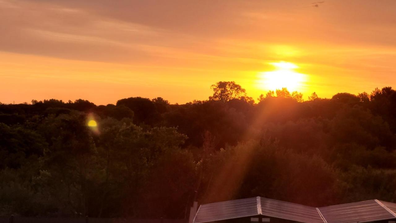 Gite Du Soleil Maison Lumineuse Avec Terrasse Solarium Parking Prive Sorède Dış mekan fotoğraf